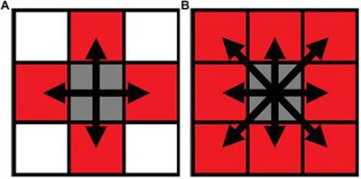 Determination of an Initial Stage of the Bone Tissue Ingrowth Into Titanium Matrix by Cell Adhesion Model